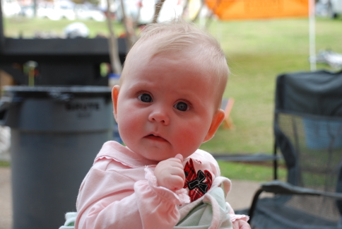 2008-11-27 14-21-3734.JPG